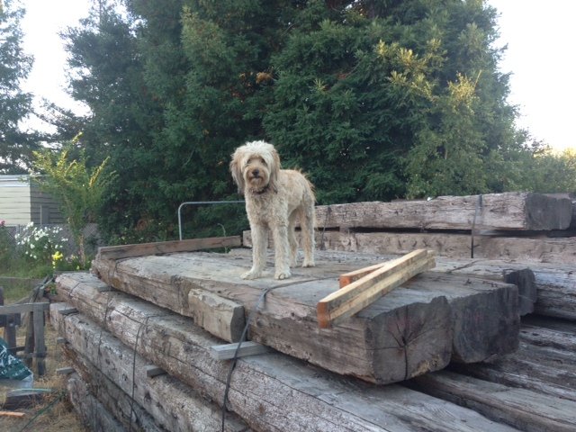 Hand Hewn Redwood Beams