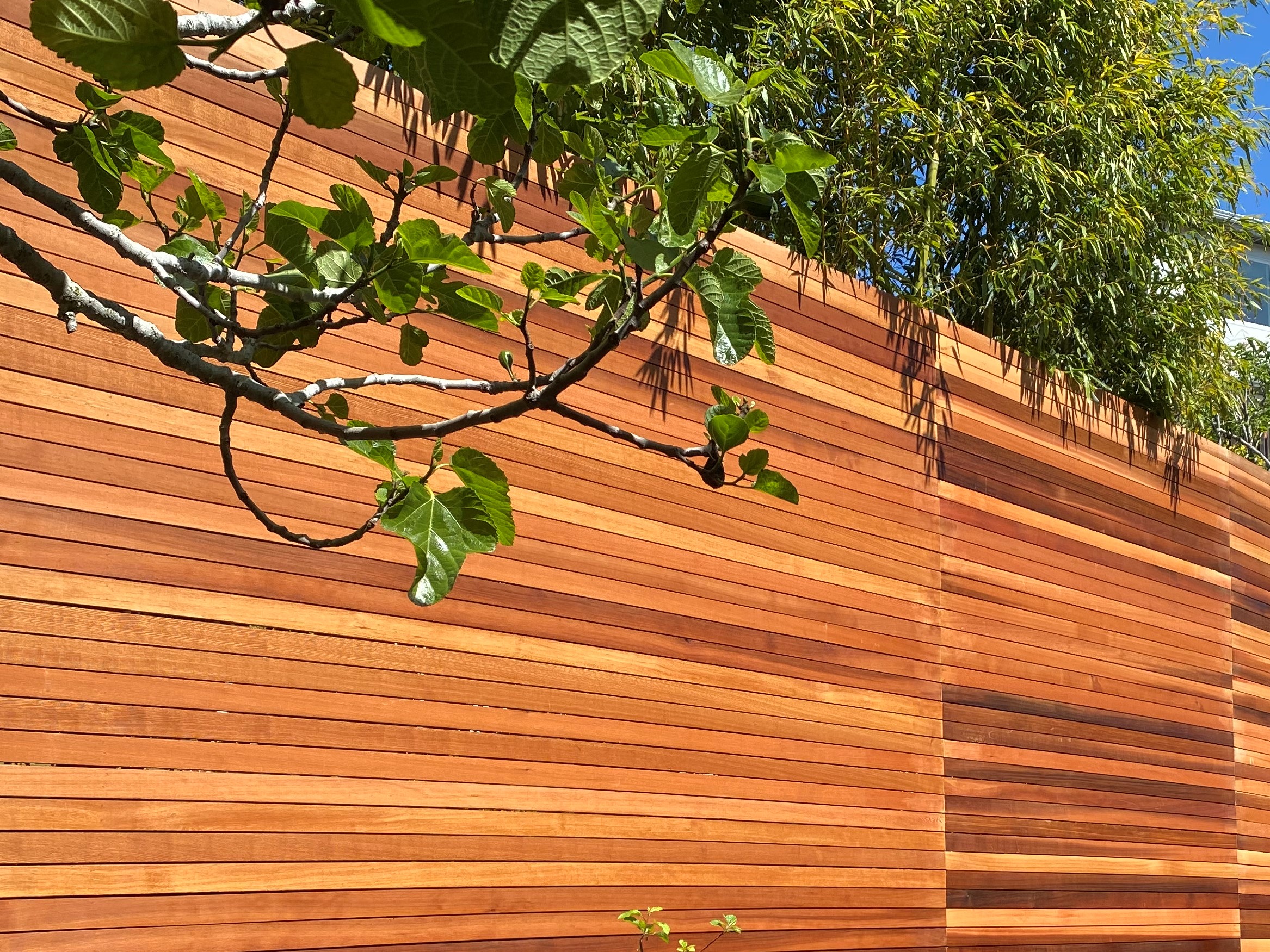 clear cedar fence siding