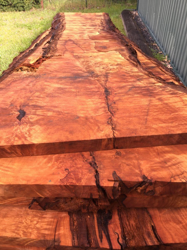 Curly Redwood Live Edge Slabs