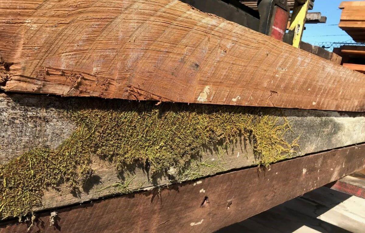 Wbwebedit The Lumber Baron Redwood Lumber, Western Red Cedar Lumber