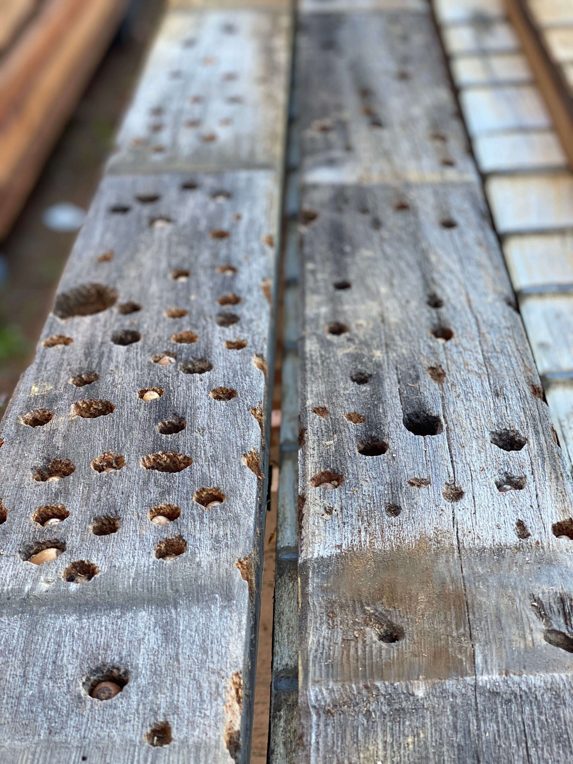 redwood water tanks