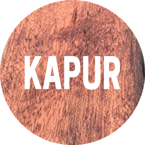 Reclaimed Kapur Lumber Products Icon